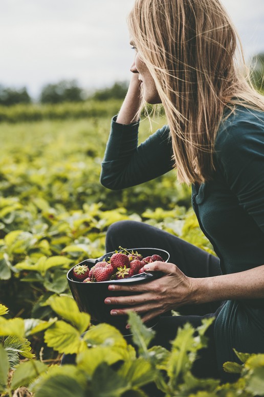 Woman picking strawberries in a field