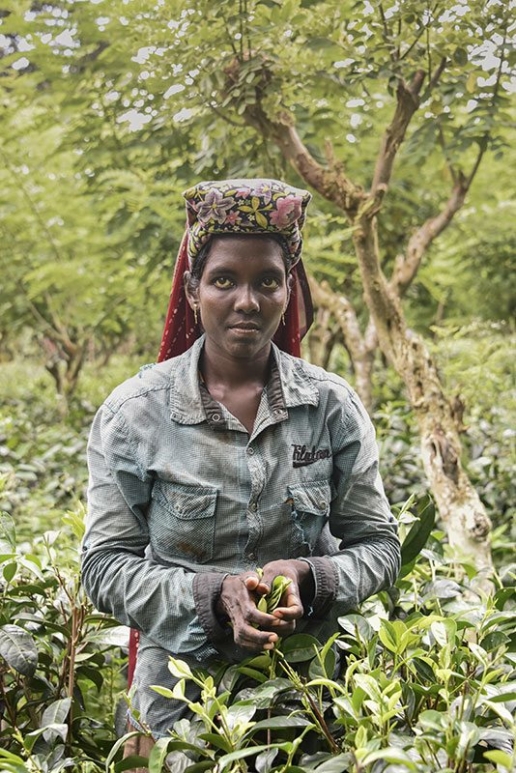 Tea Picker Photography Tour Sri Lanka