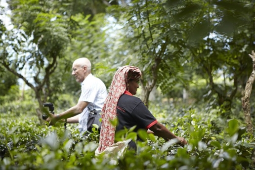 Creative Escapes Sri Lanka